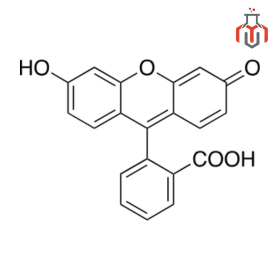 Fluorescein Structure